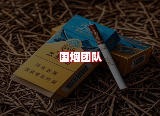 国烟团队